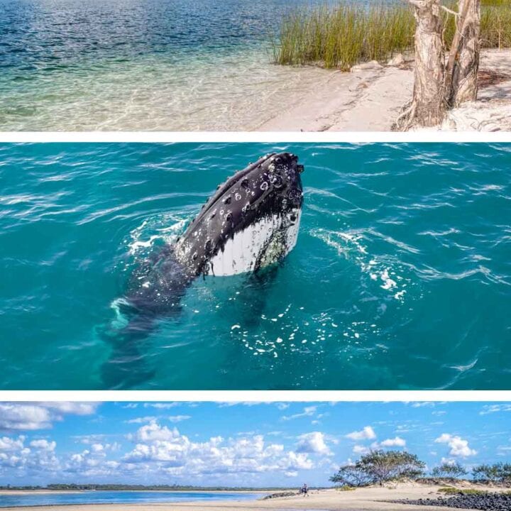 Day trips from Hervey Bay