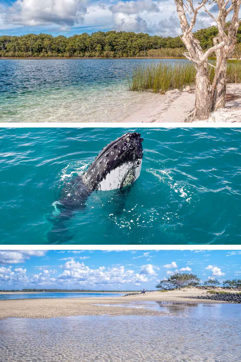 Day trips from Hervey Bay