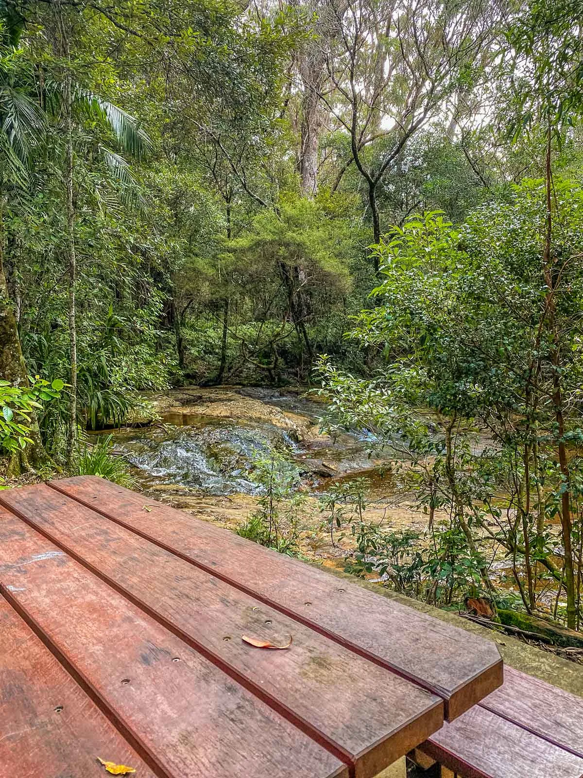 picnic table beside the creek at Goomoolahra picnic area