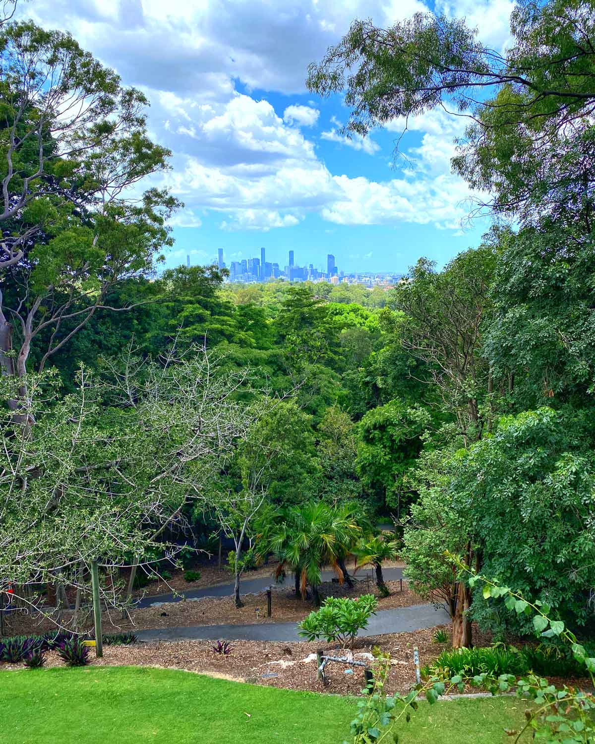 View from lookout Mt Coot-tha botanic gardens