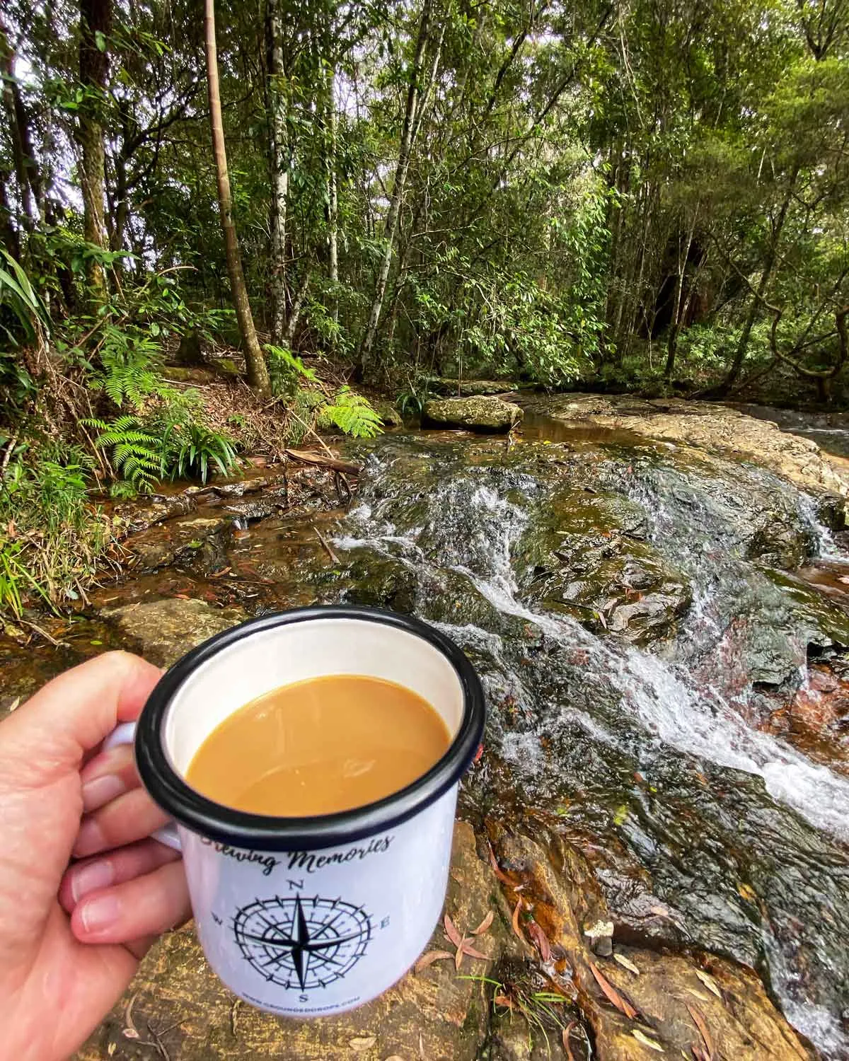 cup of brewed coffee in from of stream in Springbrook National Park