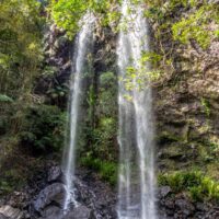 Twin Falls - one of the most popular Springbrook waterfalls