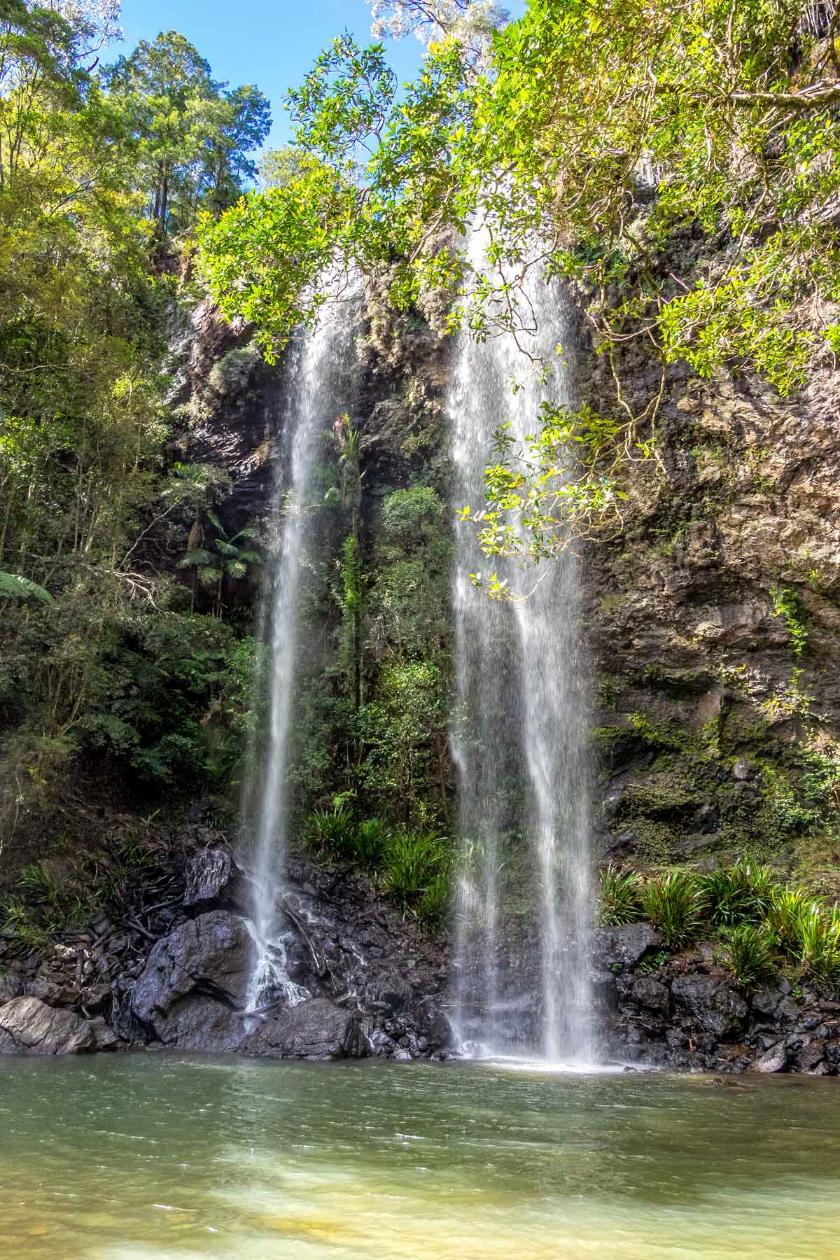 Twin Falls - one of the most popular Springbrook waterfalls