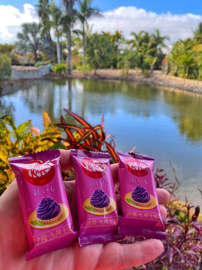 Purple Sweet Potato KitKat in front of tropical plants and lagoon
