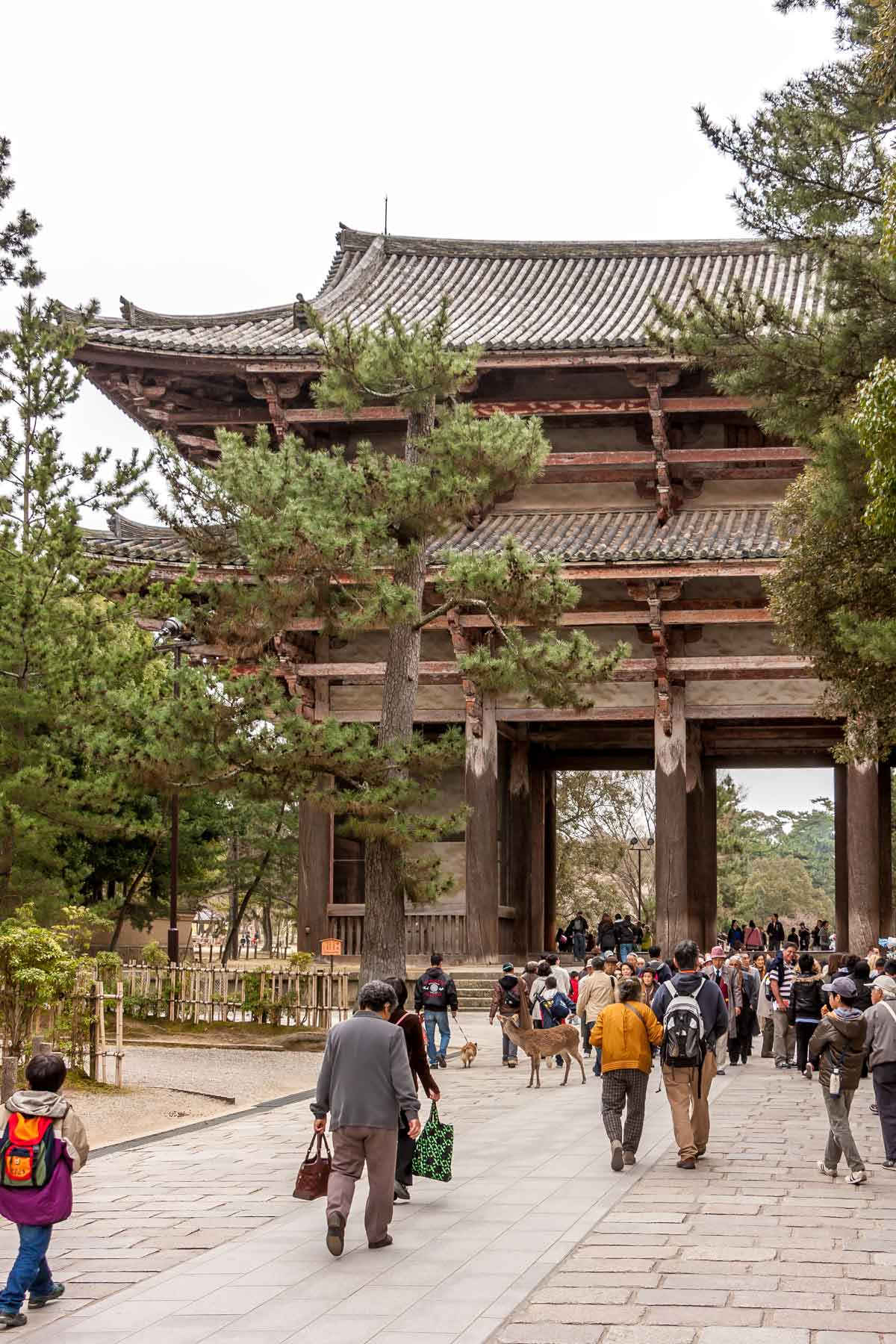 Things to do in Nara - feature photo of Nandai-mon gate at Todaiji