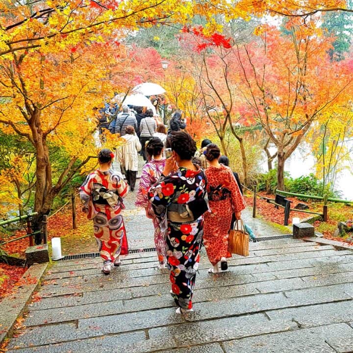 Ladies in kimono for autumn leaves at Eikando temple in Kyoto