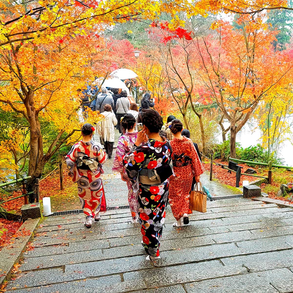 Ladies in kimono for autumn leaves at Eikando temple in Kyoto