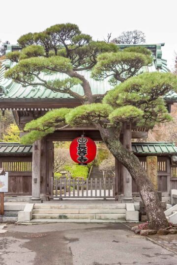 Kamakura day trip feature - Hasedera gate
