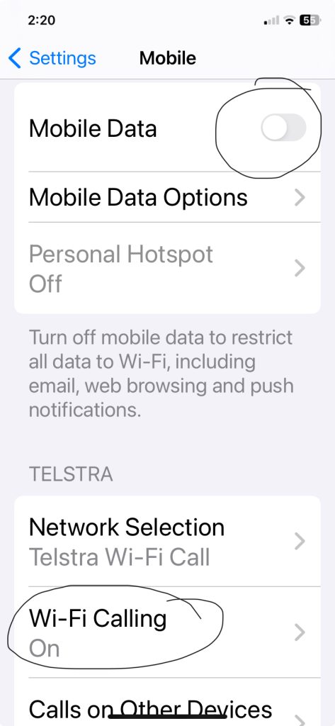 WIFI call settings on iPhone for internet in Japan