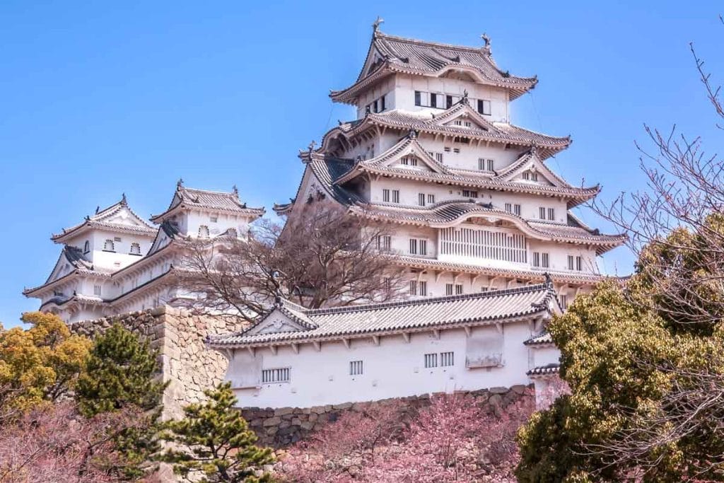 Himeji Castle with the first cherry blossom open in front