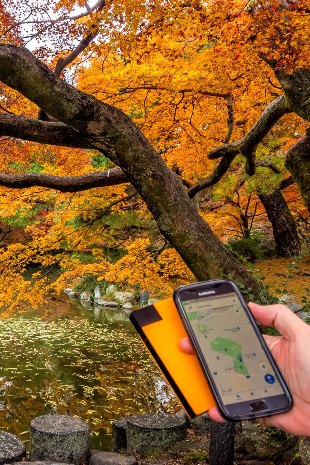 WIFI Internet in Japan using router at park in Kyoto